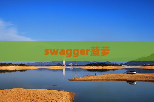 swagger菠萝